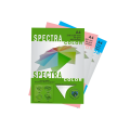 Spectrum Multi Purpose Colour Paper (Ocean Colour) 100 Sheets 80 Gsm A-4 Size. 