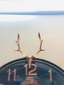 ELEGANT BEAUTIFUL DESIGN CLOCK WITH SCREW HORN GOAT STRUCTURE IN TOP AND PENDULUM FANCY AND ATTRACTIVE WALL CLOCK STYLISH DESIGN SMOOTH MACHINE WALL CLOCK HANGING WALL CLOCK HOME DECORATION PERFECT FOR GIFT. 