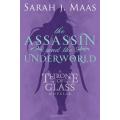 The Assassin and the Underworld Book by Sarah J Maas. 