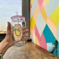 Premium Quality Transparent 540 ml Reusable Printed Glass Tumbler with Lid And Glass Straw, Glass Sipper with Glass Lid and Glass Straw, Glass Cup, Cute Glass Tumbler for juice, iced, bubble & pearl tea, coffee, cold coffee, smoothie, milk & other drinks. 