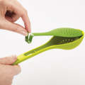 Flavour-Infusing Spoon-Green, Nylon. 