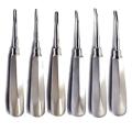 Premium Quality Dental Luxation Elevators Set of 6 Straight Curved Extraction Tools. 