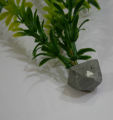 Fish Aquarium Unique And beautiful Artificial Plants Glowing Green Plant Decorations Chinese Imported Aquarium Plant. 