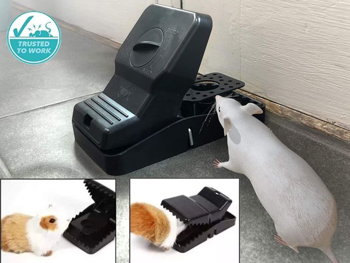 Pack%20of%201,2,3%20Reusable%20Plastic%20Mouse%20Traps%20for%20House,%20Small%20Rat%20Traps%20Quick%20Effective%20Snap%20Traps,%20Easy%20to%20Set%20Mice%20Trap%20Mouse%20Catcher,%20Reusable%20Mouse%20trap,%20Safe%20Mice%20Trap%20for%20Indoor%20Outdoor%20Home%20Garden%20-%20Black%20-%20Image%203