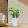Plant Pot Self Watering Flower Pot with Drainage Holes for Bedroom Kitchen. 