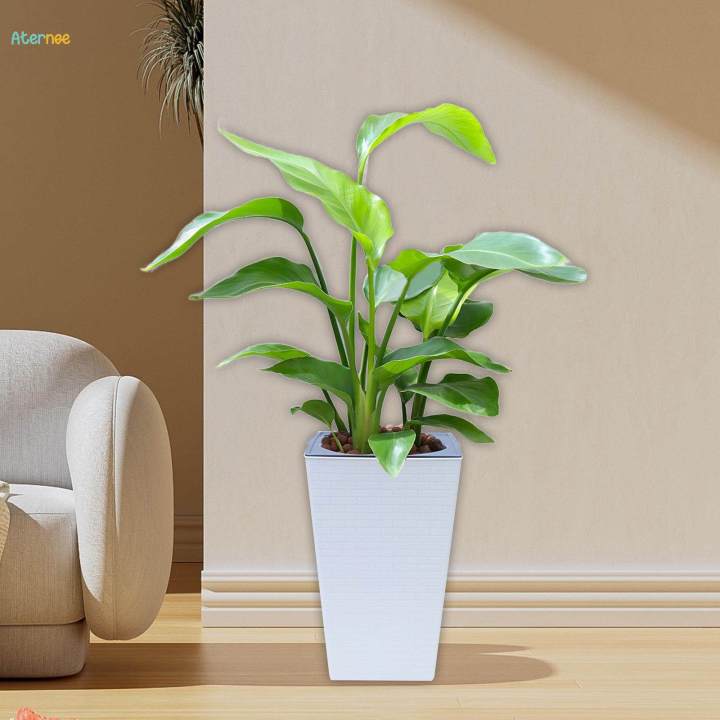 Plant Pot Self Watering Flower Pot with Drainage Holes for Bedroom Kitchen