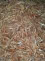 Dry Prawn 1 KG For Poultry, Fishes and birds. 