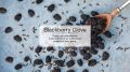 Little Trees Blackberry Clove Perfume Card -Original- Made In USA - For Cars. 