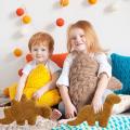 Stegosaurus inch Dino Chicken Nugget Plush, Soft Dinosaur Chicken Nuggets Pillow for Birthday Gifts, Dinosaur Theme Party. 
