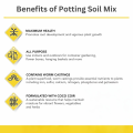Soilless potting mix for seed starter - Coco Peat - Vermicompost - Perlite - Seed Starting potting mix for kitchen gardening By Moji Mall. 