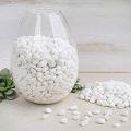 Fish Tank Gravel Rocks Marble Chips Gravel Stones Aquarium Natural Gravel white Colour For Garden Plant Decor, Decorative Rocks Stones 1 KG. 