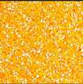 Crushed corn 1kg for birds or livestock animal. 