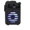 GTS-1347 PORTABLE WIRELESS BLUETOOTH SPEAKER WITH TF/ SD CARD/ BLUETOOTH/ FM RADIO. 