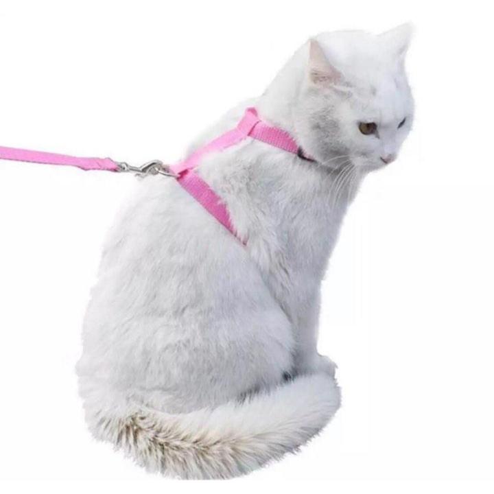 Harness%20+%20leash%20Nylon%20For%20Cats%20-%20Image%202