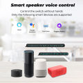 ROVF - EweLink Mini Wifi Smart Switch Light - 16A 2 Way Module On Off Breaker - Wireless Remote Voice Timer Timing App - for Google Home Alexa. 