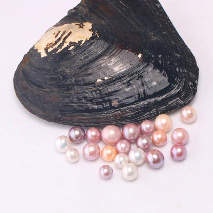 Freshwater Oyster Mussel Shell Beautiful Multicolor 7.5*6.5*1Cm Collection Vacuum Pack Love Wish Pearl Jewelry Accessories
