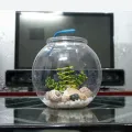 UNBREAKABLE 10" 11L  Aquarium Crystal-Clear Like a Glass Fish Bowl For Pet Hobbyists Decorating Items For Home Crafting Centerpieces Ideal gift item & kid toy for fish enthusiasts (Included Light & Accessories). 