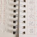 3D Chinese Characters Reusable Groove Calligraphy Copybook Erasable pen Learn hanzi Adults Art writing Books. 