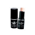 Christine Professional Paint Stick - Shade CN-F1. 