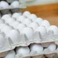 Egg-shell Powder for Dog-s/Cat-s, Calciium Supplement 100 grams. 