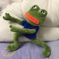 42cm Magic Expression Pepe The Frog Sad Frog Plush 4chan Meme Dolls Stuffed Animal Toy Gift. 