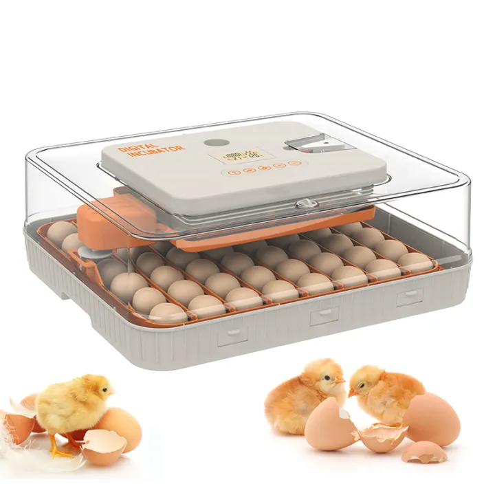 HHD%2056%20Eggs%20Wonegg%20Latest%20model%20Fully%20Automatic%20Incubator%20(Humidity%20Control)%20Dual%20Power%20AC/DC%20-%20Drip%20System%20-%20Image%203
