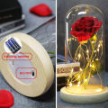 Valentine's Day Gift for Her, Beauty and The Beast Rose Flowers, Rose Flower Gifts for Women, Unique Present for Her on Thanksgiving  Valentines Day Anniversary. 