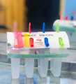 4-Piece Reusable Ice Lolly Mold Set with Straw Design – DIY Homemade Popsicle Makers, Multi-Color Frozen Treat Tray, Kitchen Tool for Ice Cream Popsicles. 