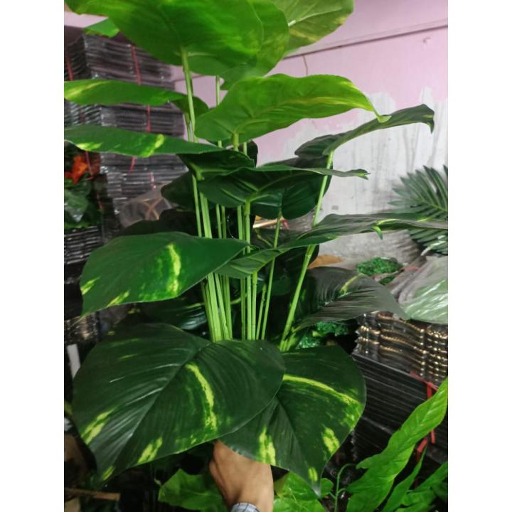 Arificial Money Green Leaf Plant