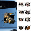 Decorative Sticker Realistic Car 3D Stickers Animal Funny Crack Decals. 