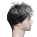 Men Short Straight Wig Ombre Grey Black Synthetic Wig for Male Hair Fleeciness Realistic Natural Toupee Wigs. 