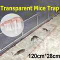 Transparent Mouse Trap. 