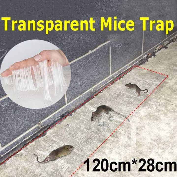 Transparent Mouse Trap