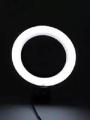 Semi Professional Small Ring Light & Holder & Converter For Tik Tok Videos Youtubers , Facebook Online Chat Makeup - Black. 