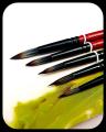 Round Royal Art Paint Brush Set of 5 - Premium Quality. 
