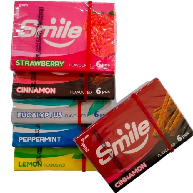 (18 pcs) Smile Stick Chewing Gum Imported