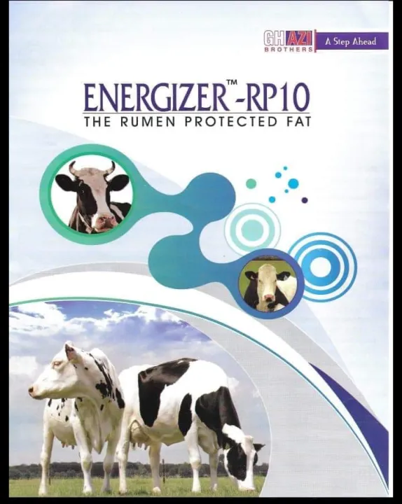 Bypass%20Fat%20RP10%201kg%20(Ghazi%20Brother's)%20-%20Image%206