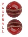 cricket pace ball 300grams. 