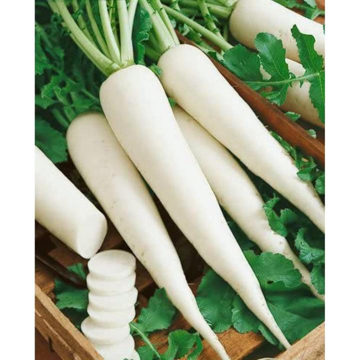 150+ Radish / Moli Fresh Vegetable Seeds - High Germination Rate