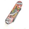 Skateboards for Teens Kids Girls Boys. 