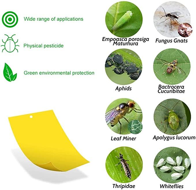 Insect%20Board%20Catcher%20Sticky%20Board%20Yellow%20Sticky%20Fly%20Traps,yellow%20Sticky%20Traps%20Mosquito%20Glue%20Board%20Sticky%20Fly%20Paper%20For%20Indoor%20And%20Outdoor%20Plant%20Protection%20Pest%20Control%20-%20Image%206