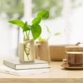 【BestGO】MAREING Transparent Wooden Stand Glass Vase Tabletop Plants Gifts Flower Decoration Hydroponic Plant Test Tube Vase Home Garden Decoration Plant Vases Flower Pot. 