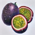 5 Seeds Passion Fruit Original Pack Organic Sour sweet Tasty Juicy Fruits Home and Gardening. 