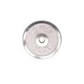 Silver Weight Plate Pair - 2 KG. 