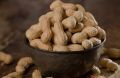Peanuts Whole \ Mong Phali | 250g. 