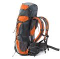 Dominance 70-Liter Dominance Backpack with Aluminum Rods Men Travel Backpack 70 Liter Trekking Backpack Bag for men travelling and hiking bag, Hiking Backpack Gym Bag Grey & Black Travel Bag  Weekend Luggage Tour Bag,Backpack Bag for Men Women,Travel Bag. 