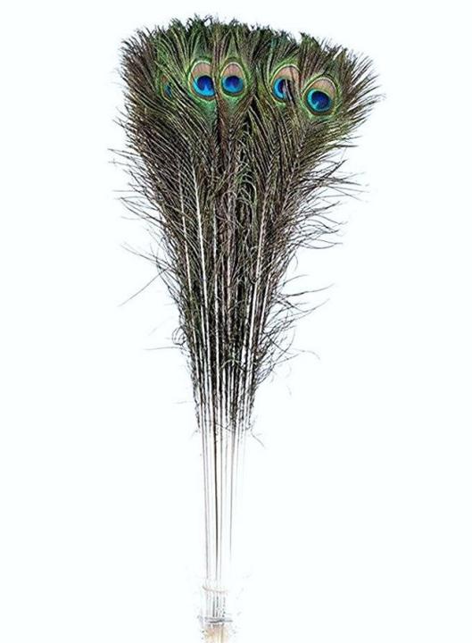 20Pcs%20Peacock%20Feather%20Tail%20Eye%2070Cm-80Cm%20Height%20(Natural%20Original%20Real)%20-%20Image%202