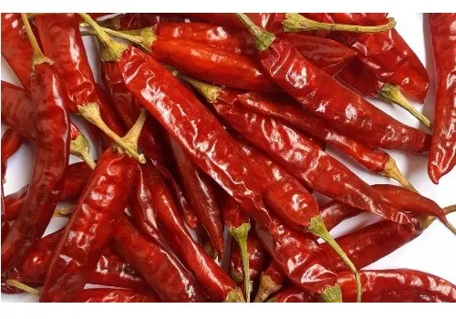 Dry%20Red%20Chilli%2050gm%20-%20Image%204