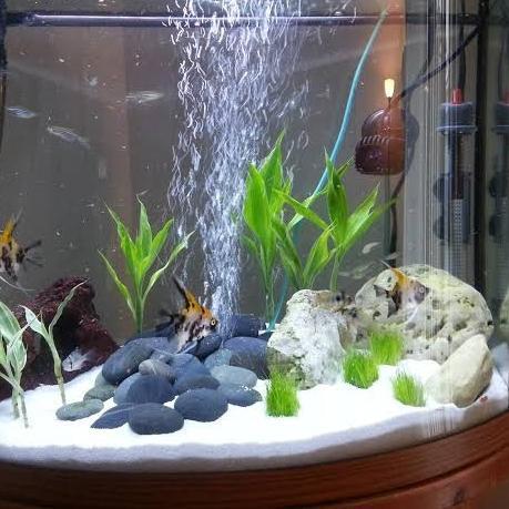 AQUARIUM SEA SAND 5 KG POUCH