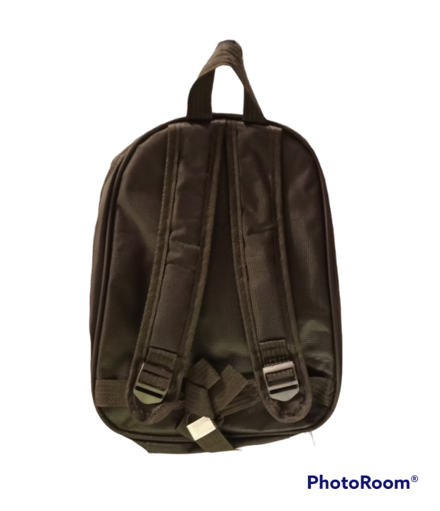 Frozen%20bag%20for%20girls%20Anna%20Elsa%20bag%20for%20girls%20frozen%20school%20bag%20frozen%20playgroup%20bag%20frozen%20lunchbox%20bag%20frozen%20bottle%20bag%20frozen%20backpack%20bag%20-%20Image%206